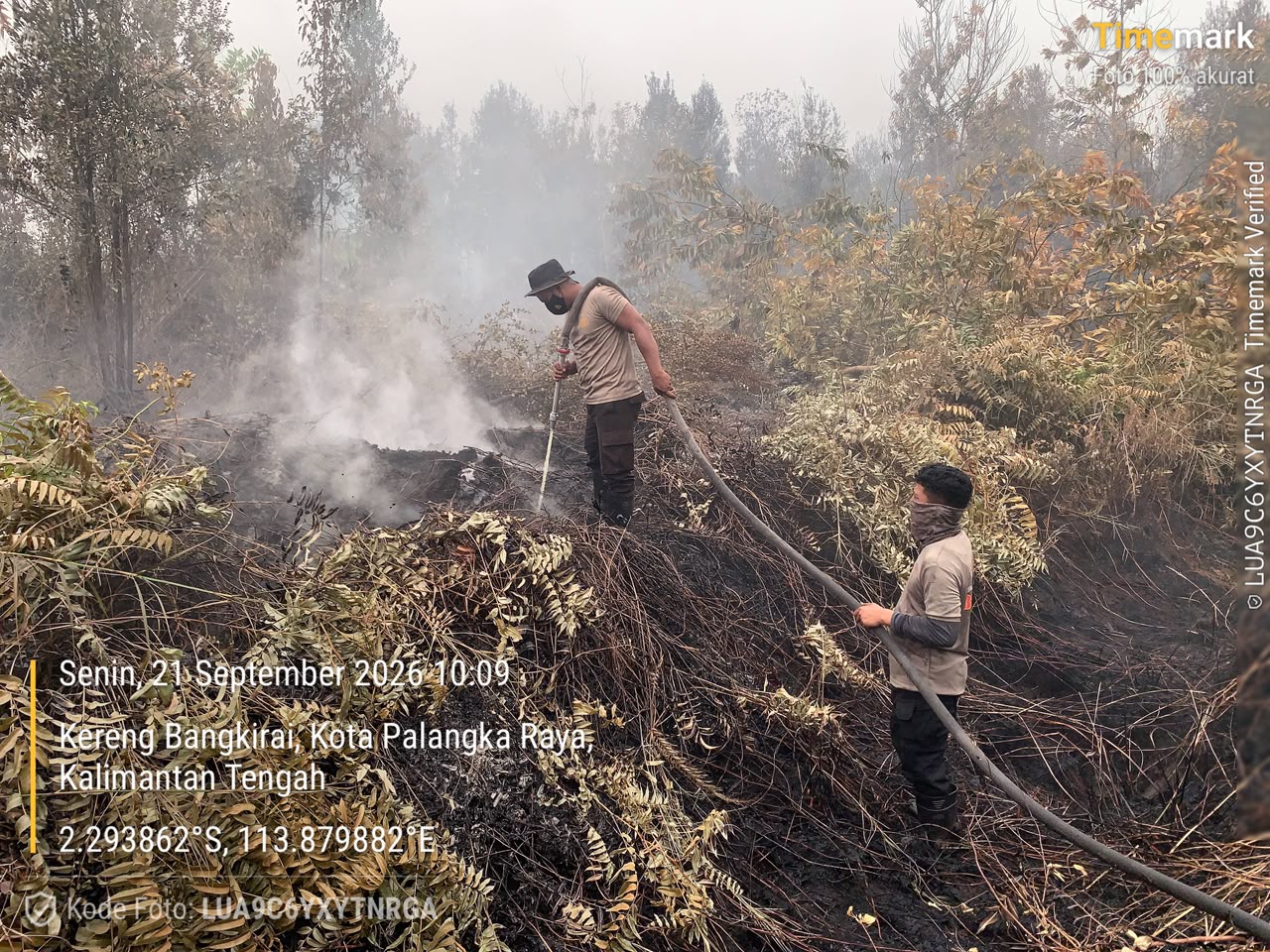Brimob Kalteng Lakukan Pembasahan Lahan Karhutla di Manduhara