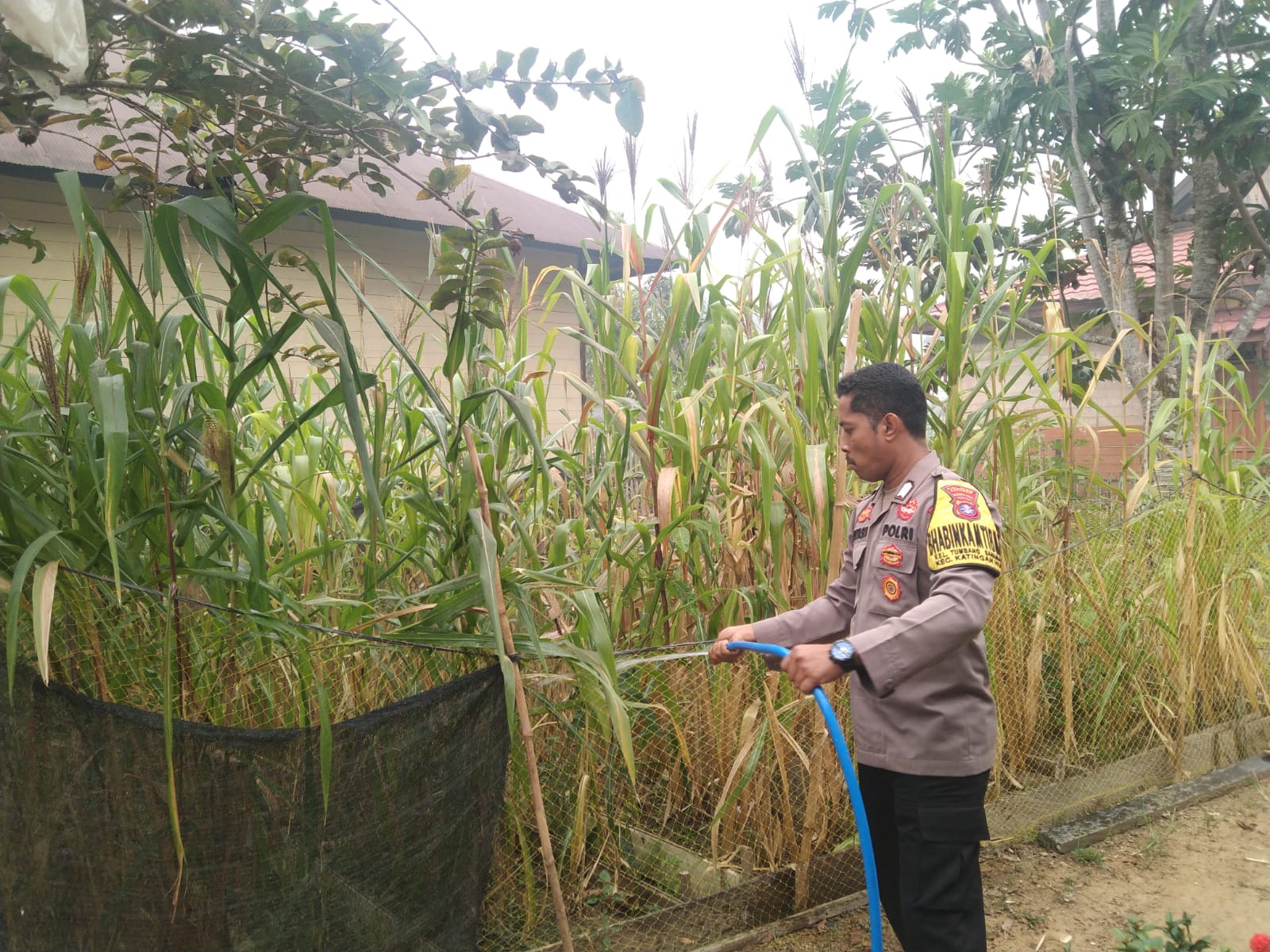 Mendukung Ketahanan Pangan, Personil Polsek Katingan Hulu Cek Lokasi Pemanfaatan Pekarangan Warga.