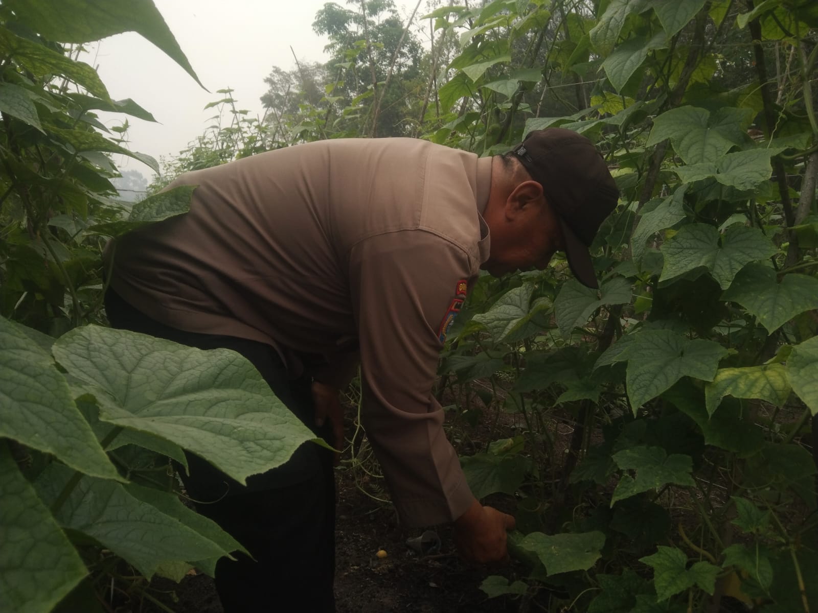 Personel Polsek Tewang Sangalang Garing dan Pulau Malan melaksanakan pengecekan lokasi pemanfaatan lahan pekarangan warga Binaannya