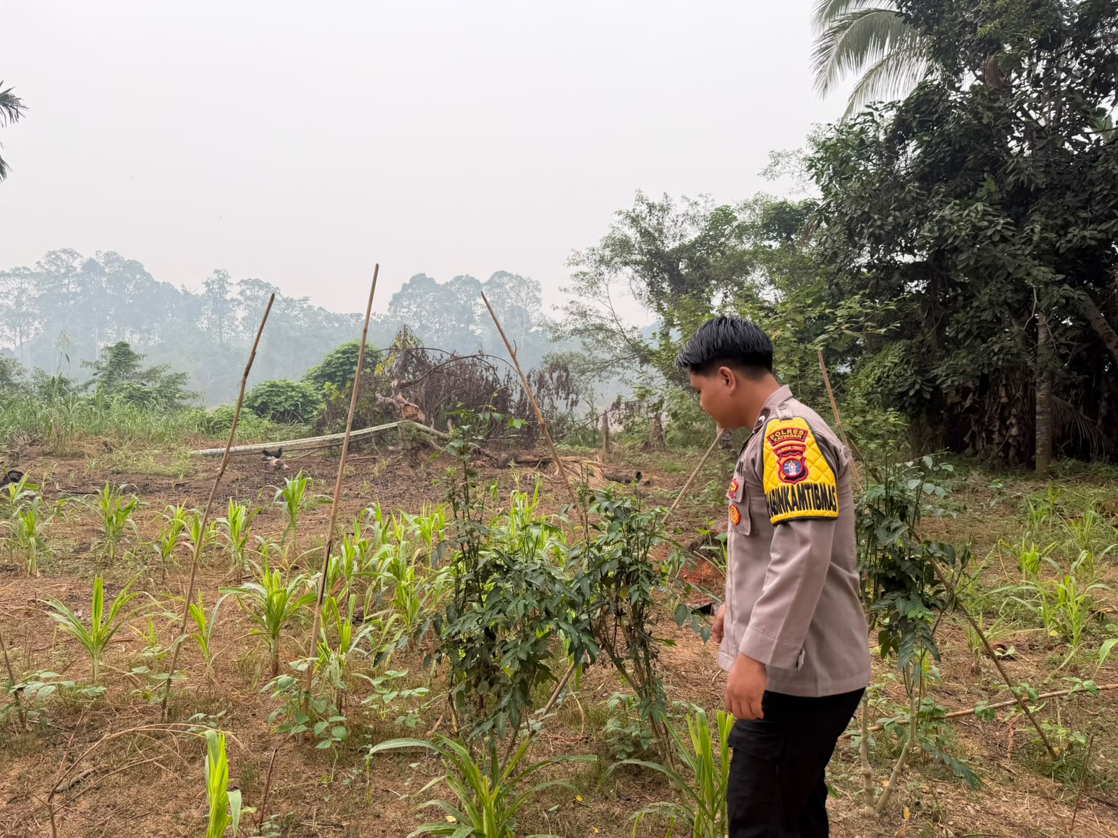 Mendukung Ketahanan Pangan, Personil Polsek sanaman mantikei Cek Lokasi Pemanfaatan Pekarangan Warga.