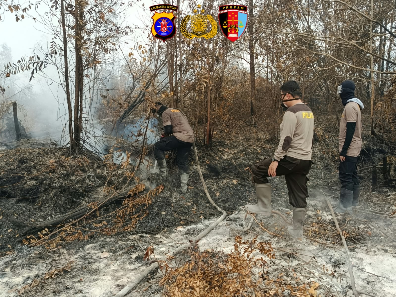 Pantang Menyerah, Personel Bidpropam Polda Kalteng Gempur Karhutla di Buluh Merindu Hingga Tuntas