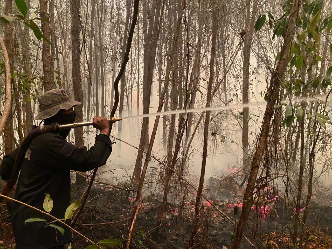 Dansatbrimob Polda Kalteng Bersama Tim Gabungan Padamkan Karhutla di Tanjung Taruna