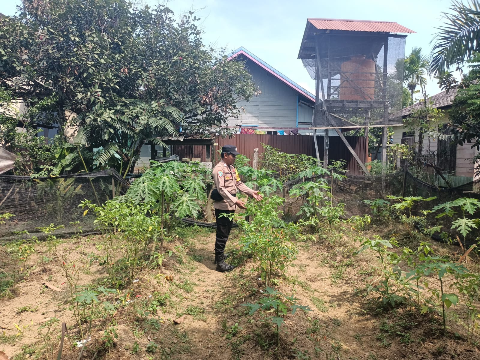 DUKUNG KETAHANAN PANGAN NASIONAL, POLSEK MARIKIT DAMPINGI PETANI DI TUMBANG HIRAN