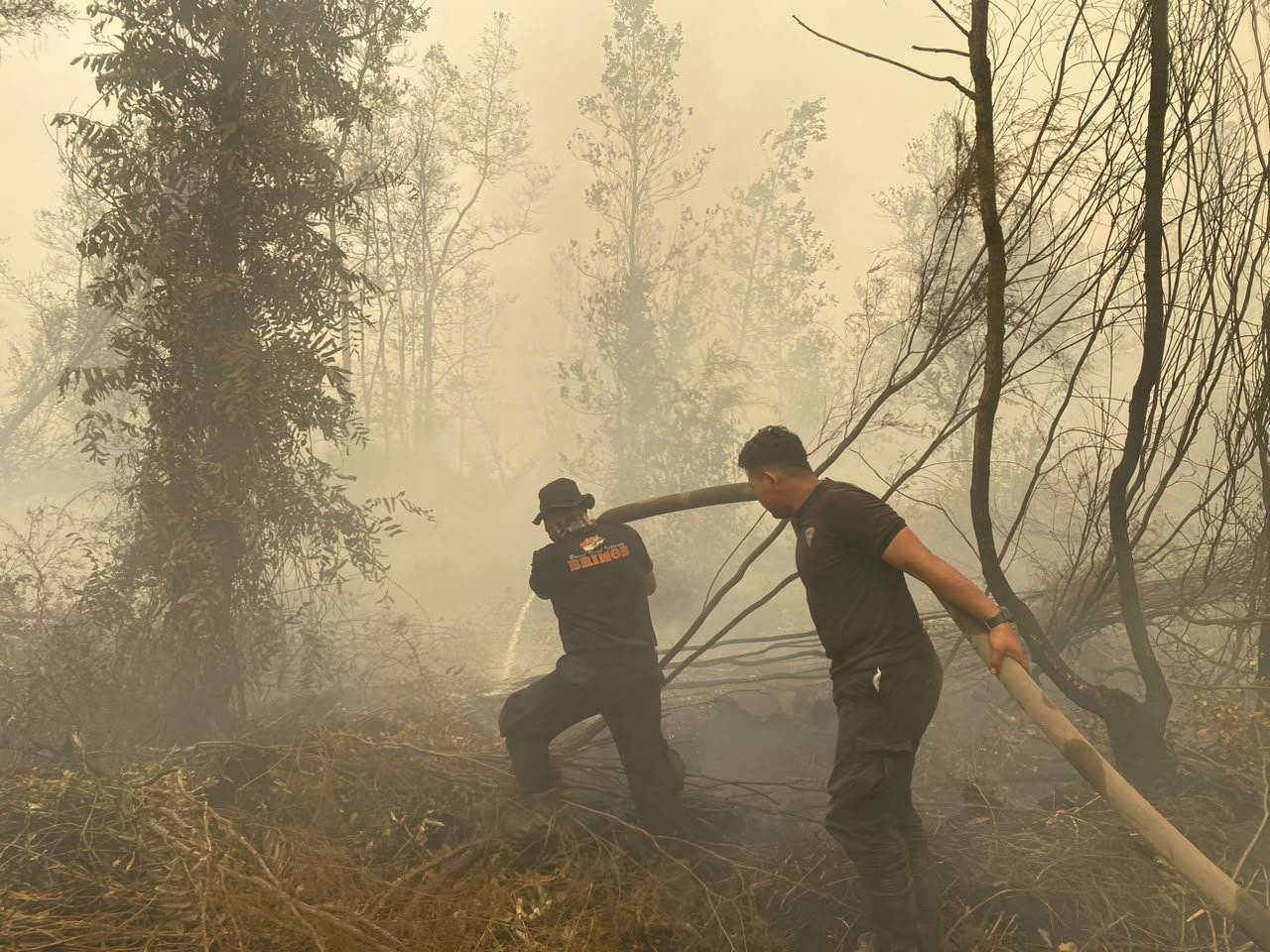 Satbrimob Polda Kalteng Laksanakan Pemadaman dan Pembasahan Karhutla di Tanjung Taruna