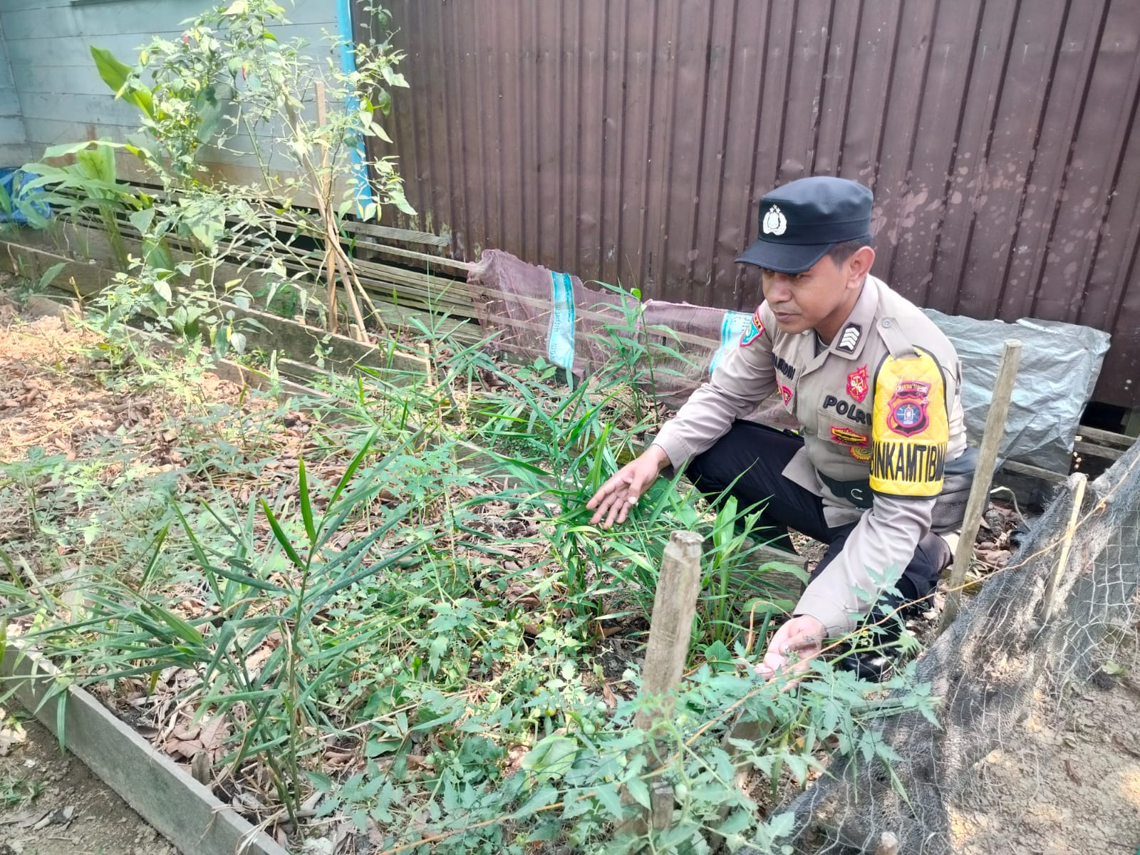 DUKUNG KETAHANAN PANGAN NASIONAL, POLSEK MARIKIT DAMPINGI PETANI DI TUMBANG HIRAN