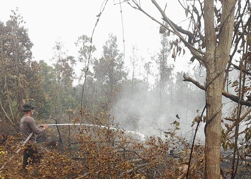 Satgas Karhutla Brimob Kalteng Terus Lakukan Pembasahan di Tanjung Taruna