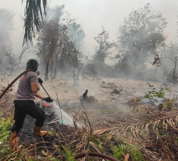 Satgas Karhutla Brimob Kalteng Padamkan Karhutla di Baamang