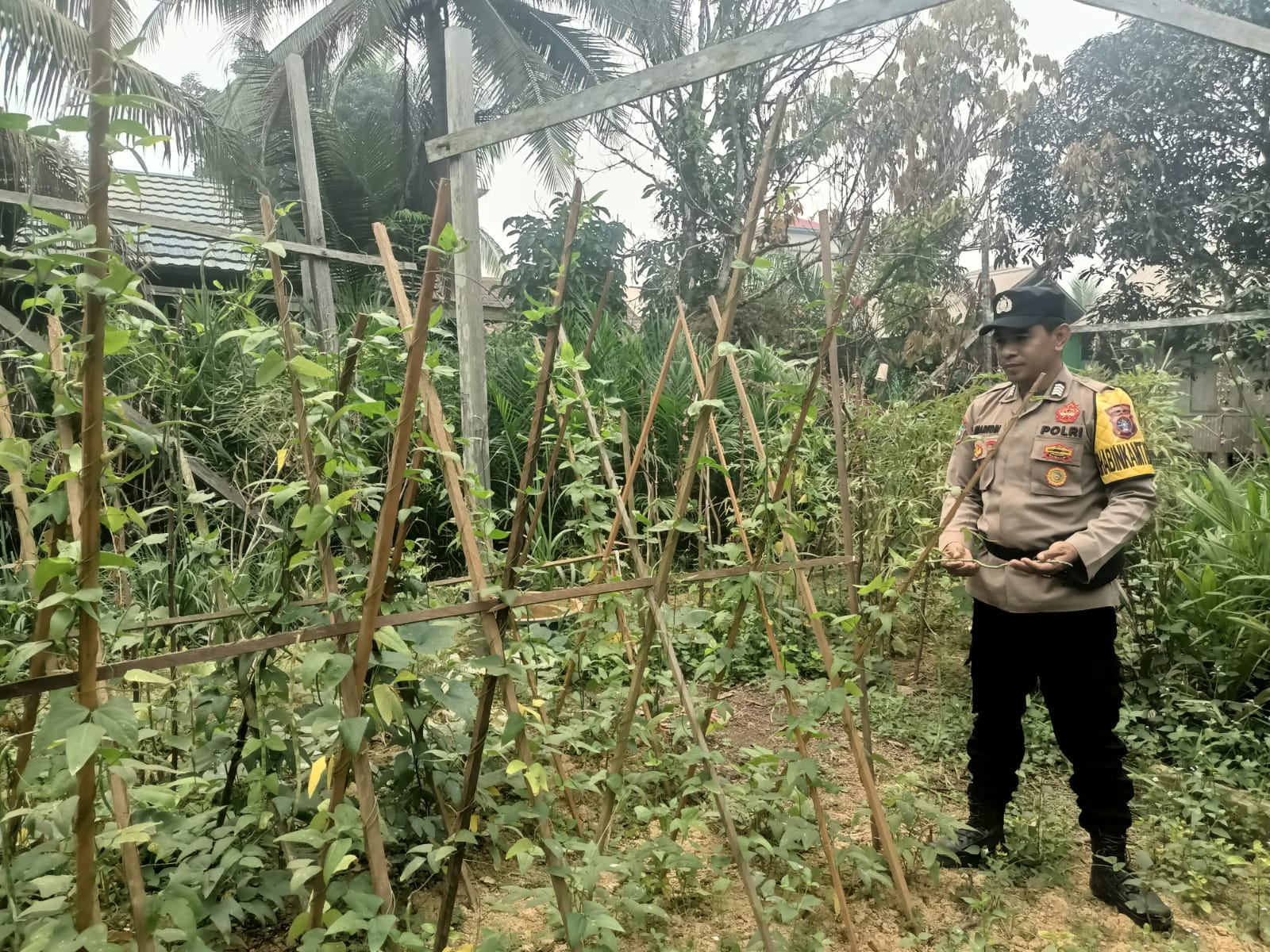 Perkuat Ketahanan Pangan Nasional, Polsek Marikit Dampingi Petani dan Monitoring Pekarangan Bergizi